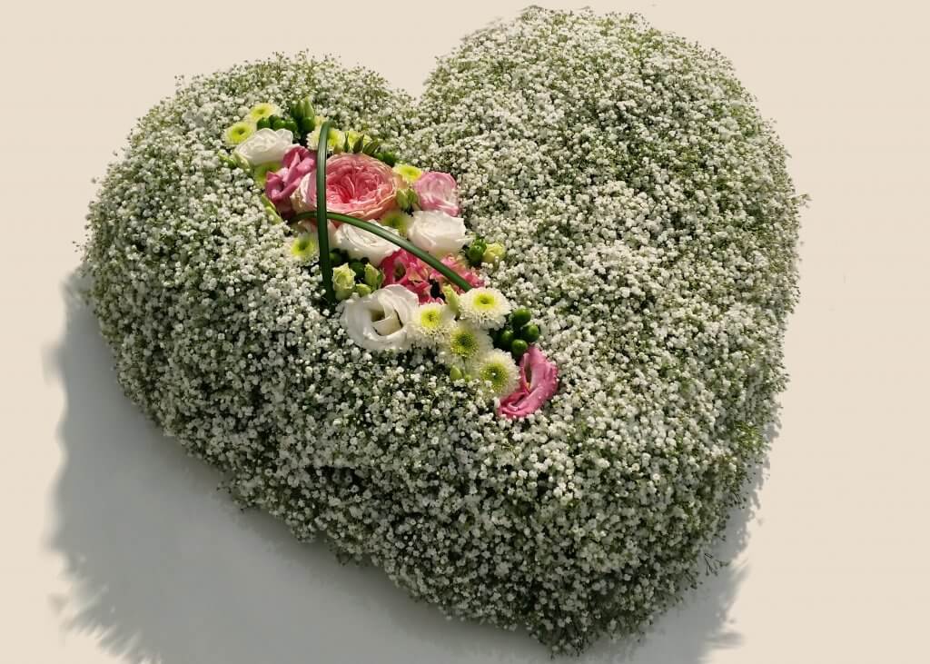 Blumenherz Schleierkraut und pink