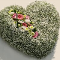 Blumenherz Schleierkraut und pink