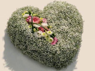 Blumenherz Schleierkraut und pink Blumenherz Schleierkraut und pink